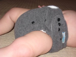 dypes by dixon fleece diaper