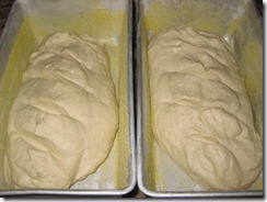 Bread cut gashes