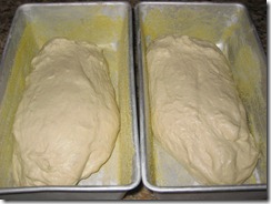 Bread shape into loaves