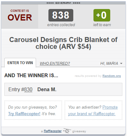 carousel designs winner