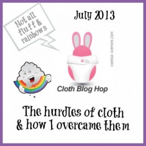 #clothdiapers #bloghop via @chgdiapers - my unicorn #clothdiaper