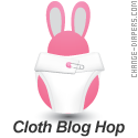 cloth diaper blog hop