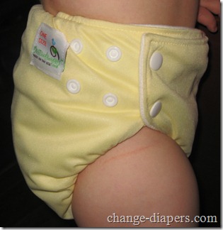 Bottombumpers Cloth Diaper 33 medium large on 2 yr old