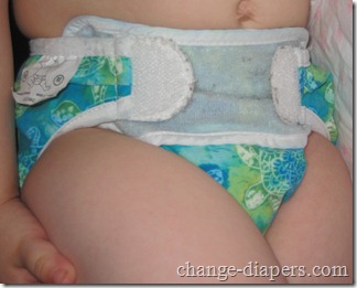Bummis Swimmi Swim Diaper 10 med on toddler