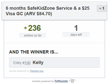 SafeKidZone Winner