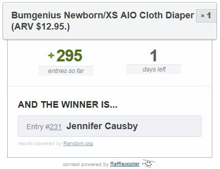 Bumgenius Newborn Diaper Winner