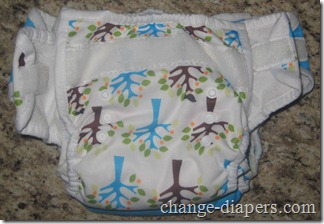 Thirsties duo diaper 32 large 1 small 2