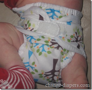 Thirsties duo diaper 38 1 small on 8.5 lb 6 wk old