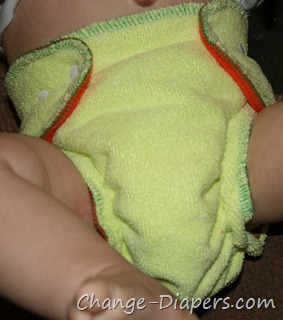 @DriLineBaby Fitted #clothdiapers via @chgdiapers 18-3