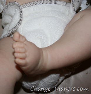 @DriLineBaby Fitted #clothdiapers via @chgdiapers 8-4