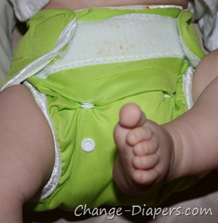 @DriLineBaby Fitted #clothdiapers via @chgdiapers 8-6