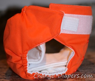 Chelory #clothdiapers via @chgdiapers 25 large side