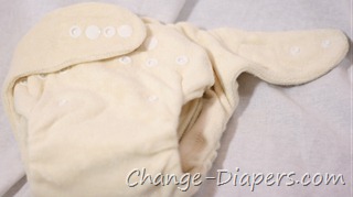 @littlecomfort bambee bamboo #clothdiapers from @Greenteamdist via @chgdiapers 6 snaps