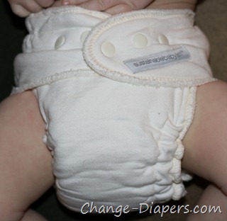 @sloomb large bamboo fitted #clothdiapers from @uponthe_hill via @chgdiapers 19 large on 17 lb 1 yr old