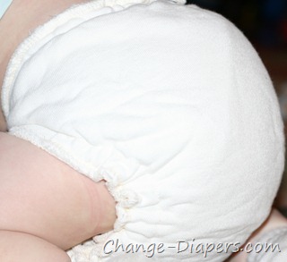 @sloomb large bamboo fitted #clothdiapers from @uponthe_hill via @chgdiapers 21