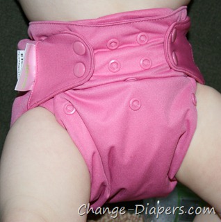 @Bumgenius elemental #clothdiapers old vs new via @chgdiapers 1 old