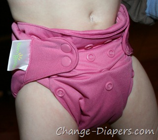 @Bumgenius elemental #clothdiapers old vs new via @chgdiapers 5 front