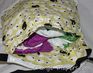@GENYDiapers #clothdiapers GOBag via @chgdiapers 2 dry area