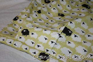 @GENYDiapers #clothdiapers GOBag via @chgdiapers 6 gussets