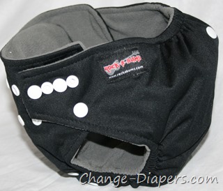 @Rockabums #clothdiapers via @chgdiapers 30 large