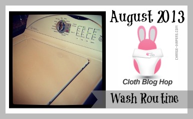 August #clothdiapers #bloghop - my wash routine