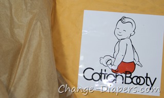 Milk and Honey Kids Cottonbooty #clothdiapers Club 2