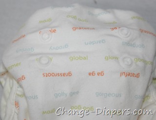 gDiapers Tiny gPants newborn #clothdiapers via @chgdiapers 10