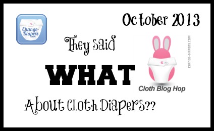 They said WHAT about #clothdiapers - #bloghop via @chgdiapers