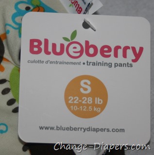 @blueberrydiaper training pants for #pottytraining via @chgdiapers 2