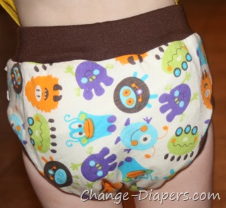 @blueberrydiaper training pants for #pottytraining via @chgdiapers 3