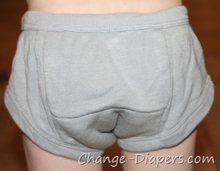 @sloomb training pants for #pottytraining via @chgdiapers 1 3