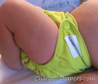 @GroViaDiaper newborn #clothdiapers via @chgdiapers new style 2