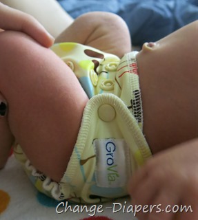 @GroViaDiaper newborn #clothdiapers via @chgdiapers old style 2