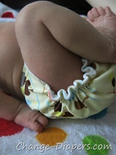@GroViaDiaper newborn #clothdiapers via @chgdiapers old style 3