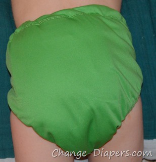 @fuzzibunz small & large one size #clothdiapers via @chgdiapers 9