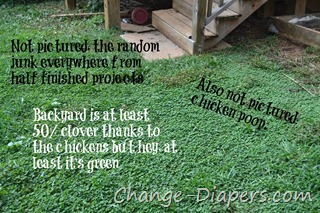 @chgdiapers 3 half clover
