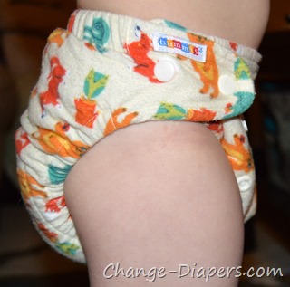 @Bummis flannel fitted #clothdiapers via @chgdiapers 4