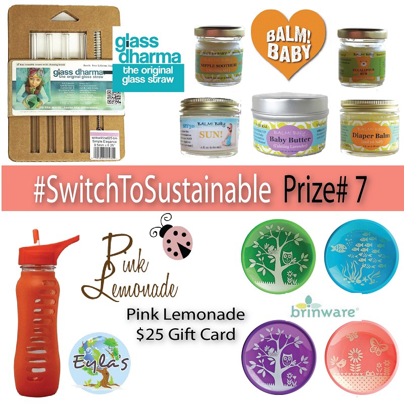 #SwitchToSustainable Prize Pack7