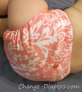 @Funkyfluff Lux #clothdiapers via @chgdiapers 9