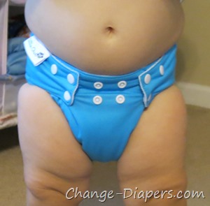 Little Owl #clothdiapers via @chgdiapers 1