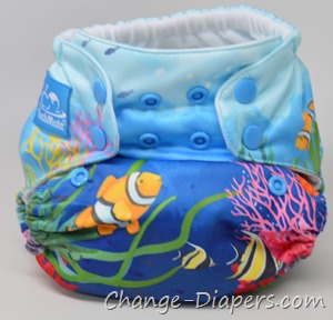 @TushMate OS AIO #clothdiapers review via @chgdiapers 12 small