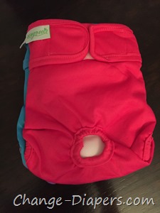 Cloth diapers for dogs via @chgdiapers 2