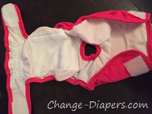 Cloth diapers for dogs via @chgdiapers 4