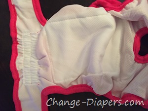 Cloth diapers for dogs via @chgdiapers 5