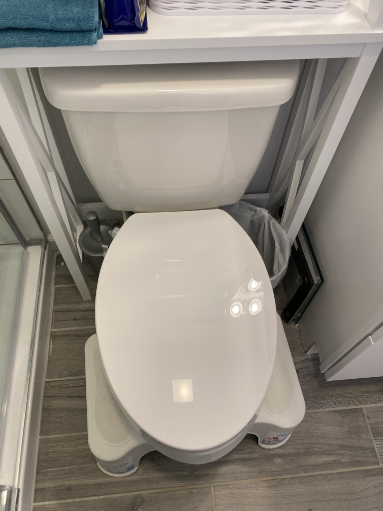 Yes, You Need a Bidet GenieBidet Toilet Seat