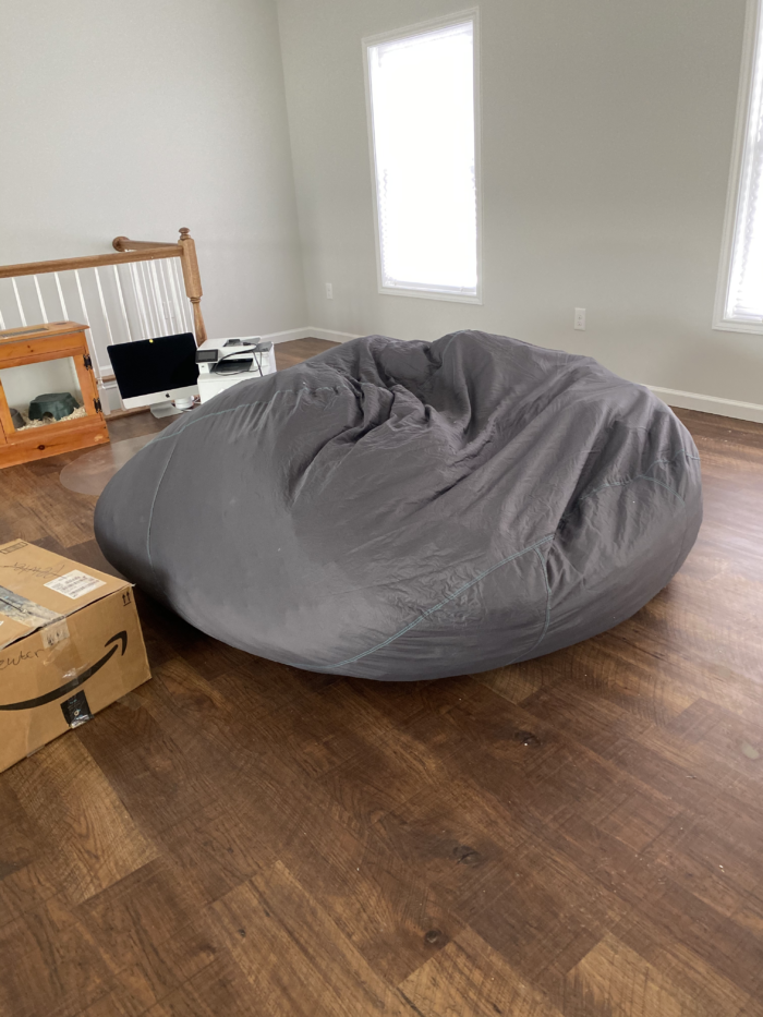 Biggest Puppy Bed Ever - Lovesac Giant Bean Bag