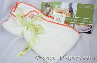 orange diaper co 2